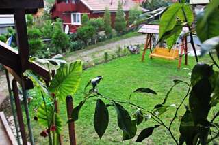Виллы Panaite’s Home Нехою Вилла с видом на сад-35